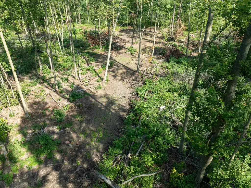 Picture 41