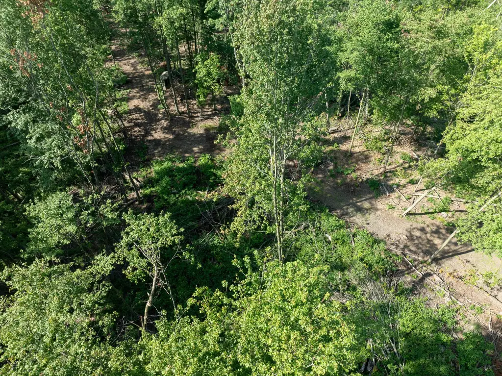 Picture 39