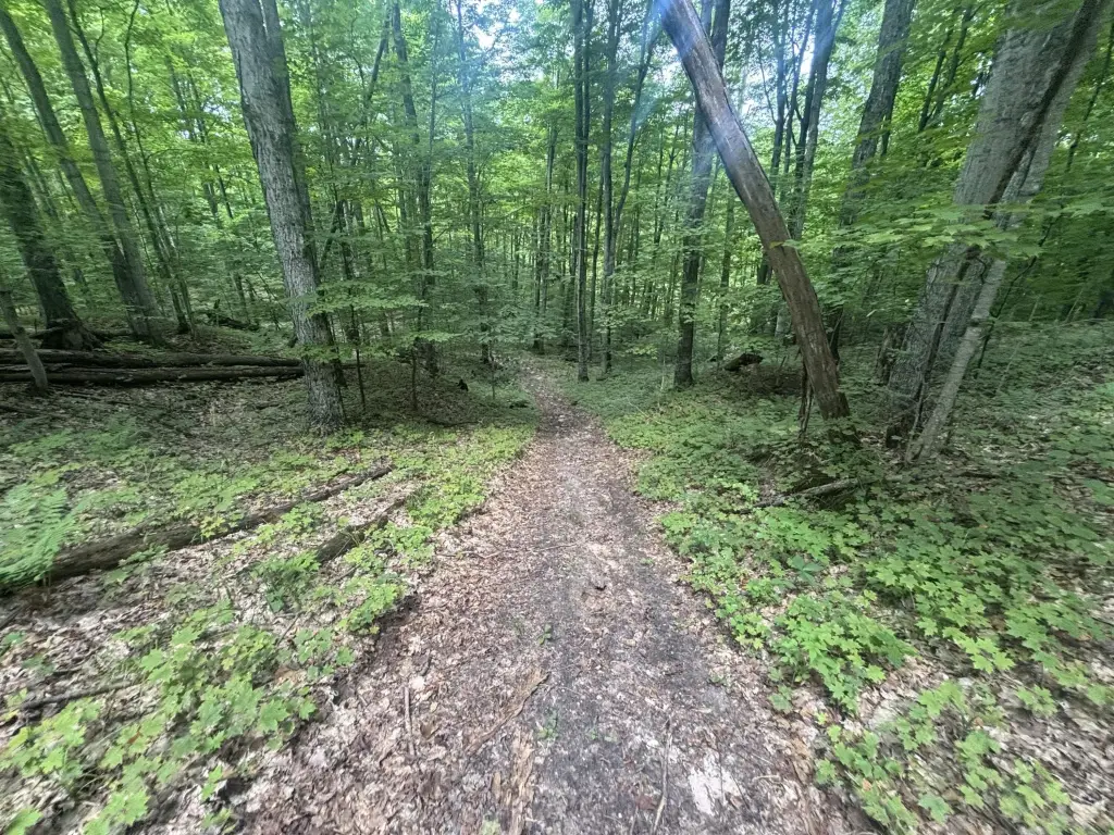 Picture 21