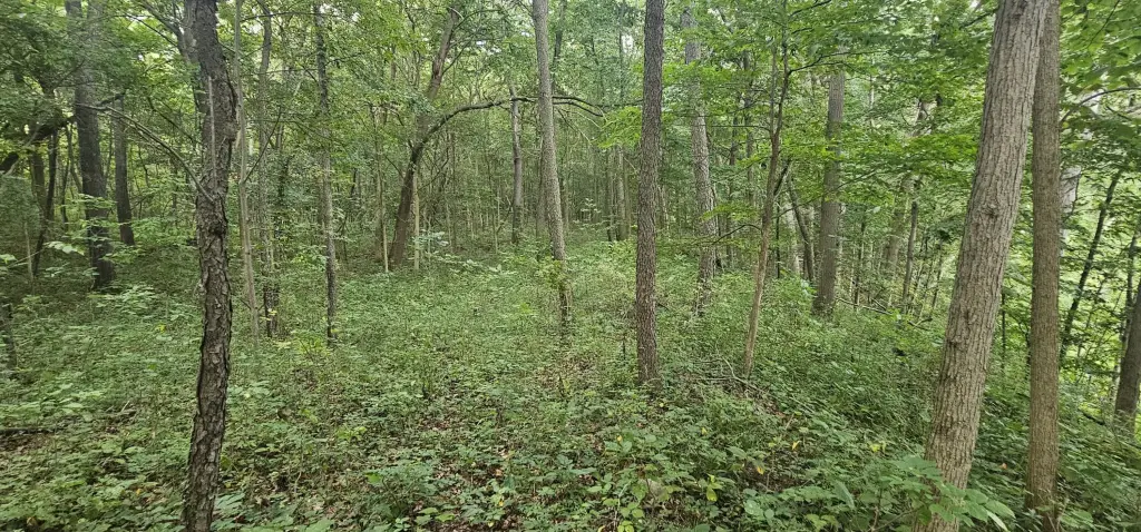 Picture 14