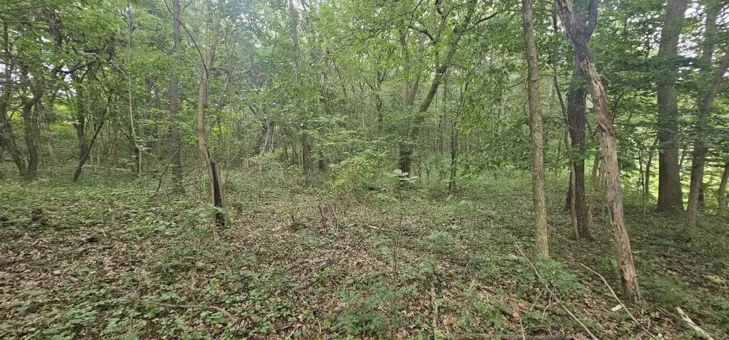 Picture 13