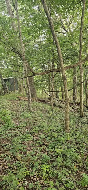Picture 9