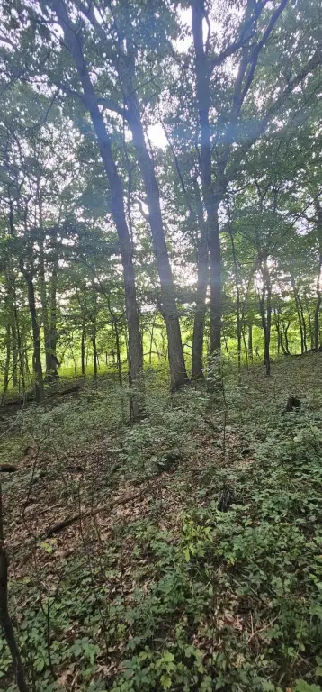 Picture 15