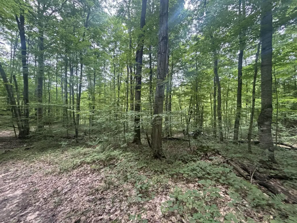 Picture 27