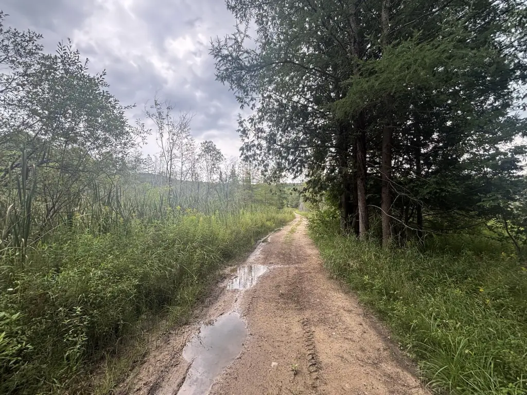 Picture 20