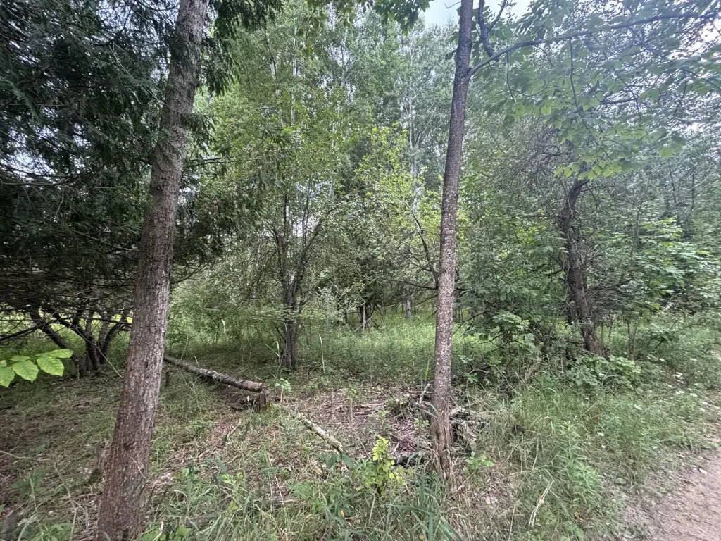 Picture 21