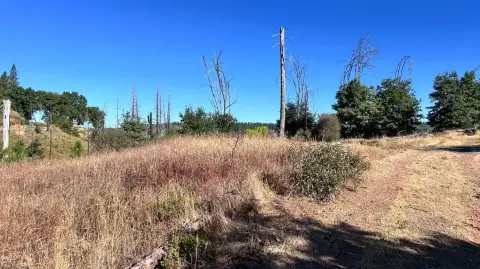 Scenic Wooded Acres in California