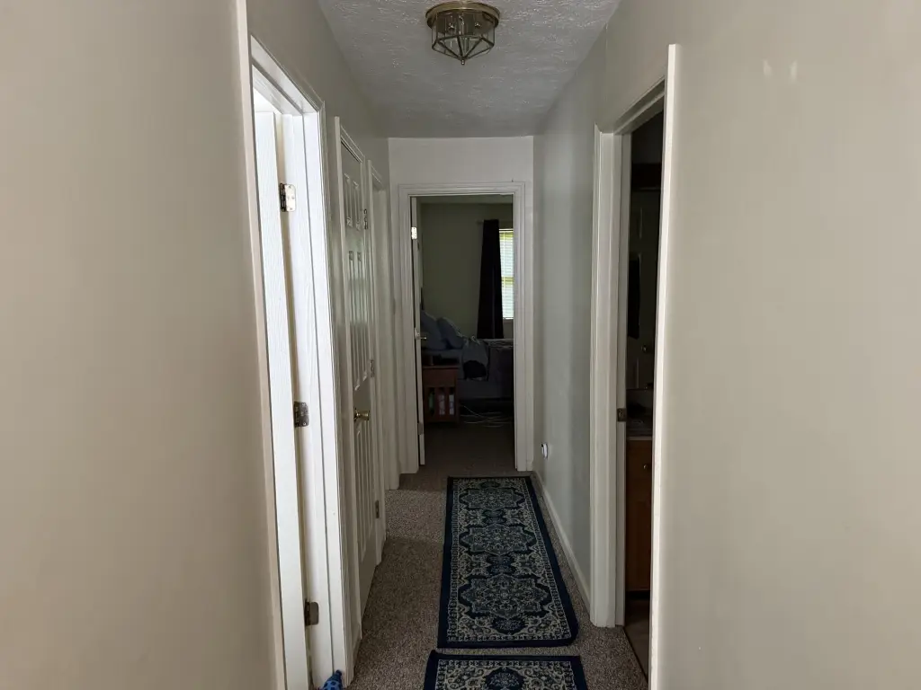 Picture 18