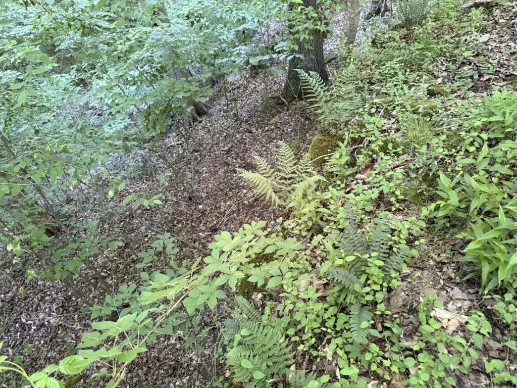 Picture 6