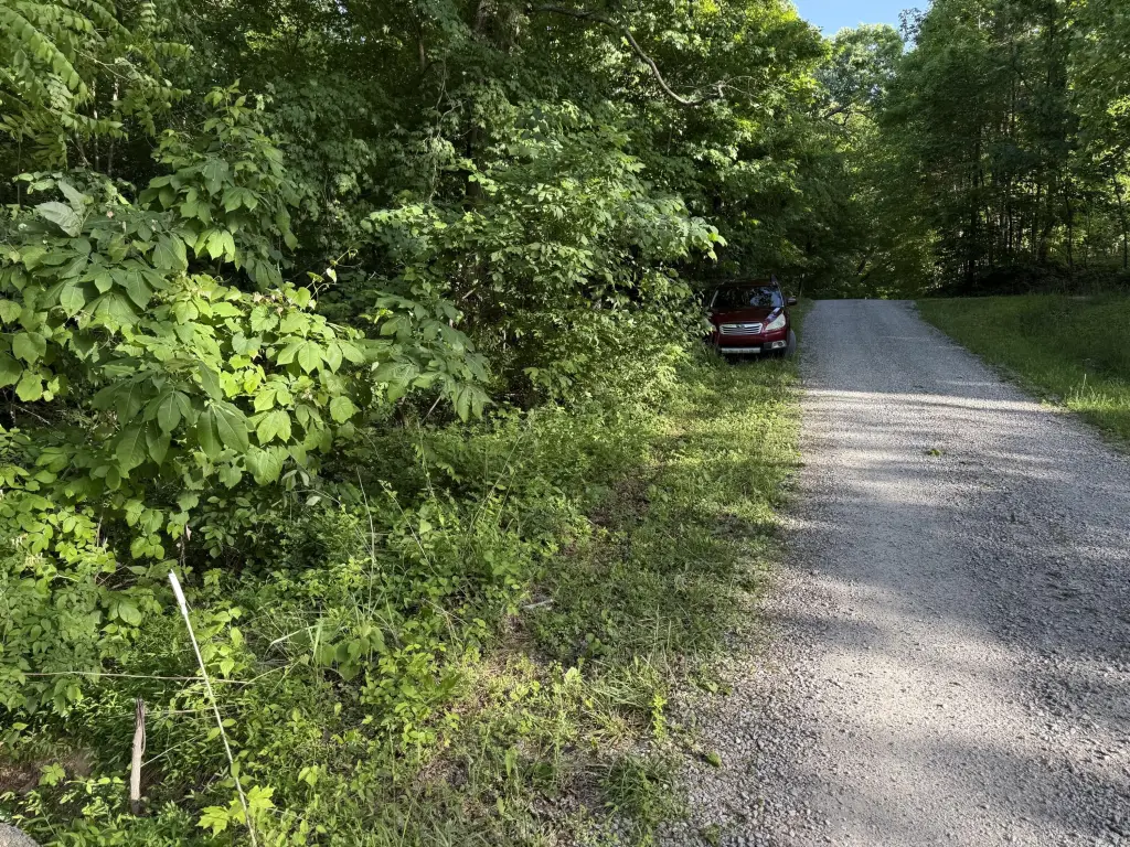 Picture 10
