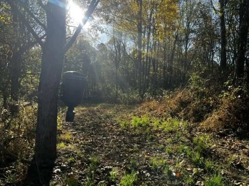 Picture 16