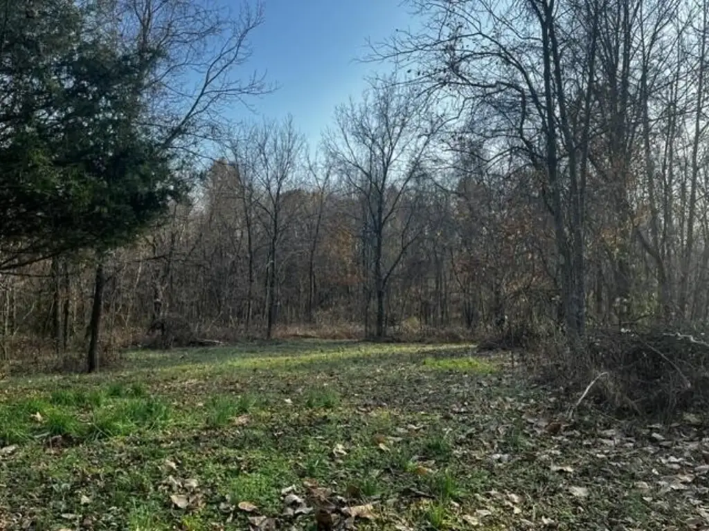 Picture 9