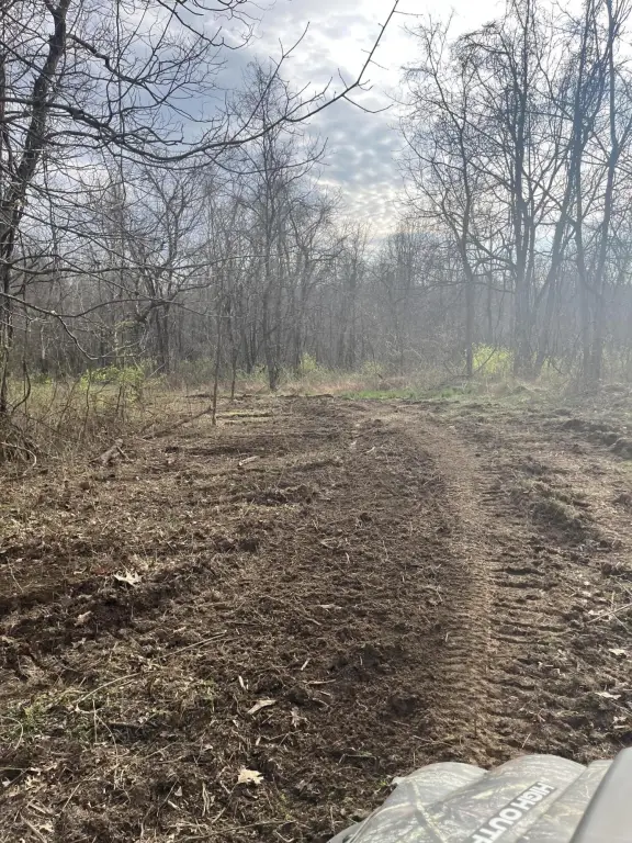 Picture 11