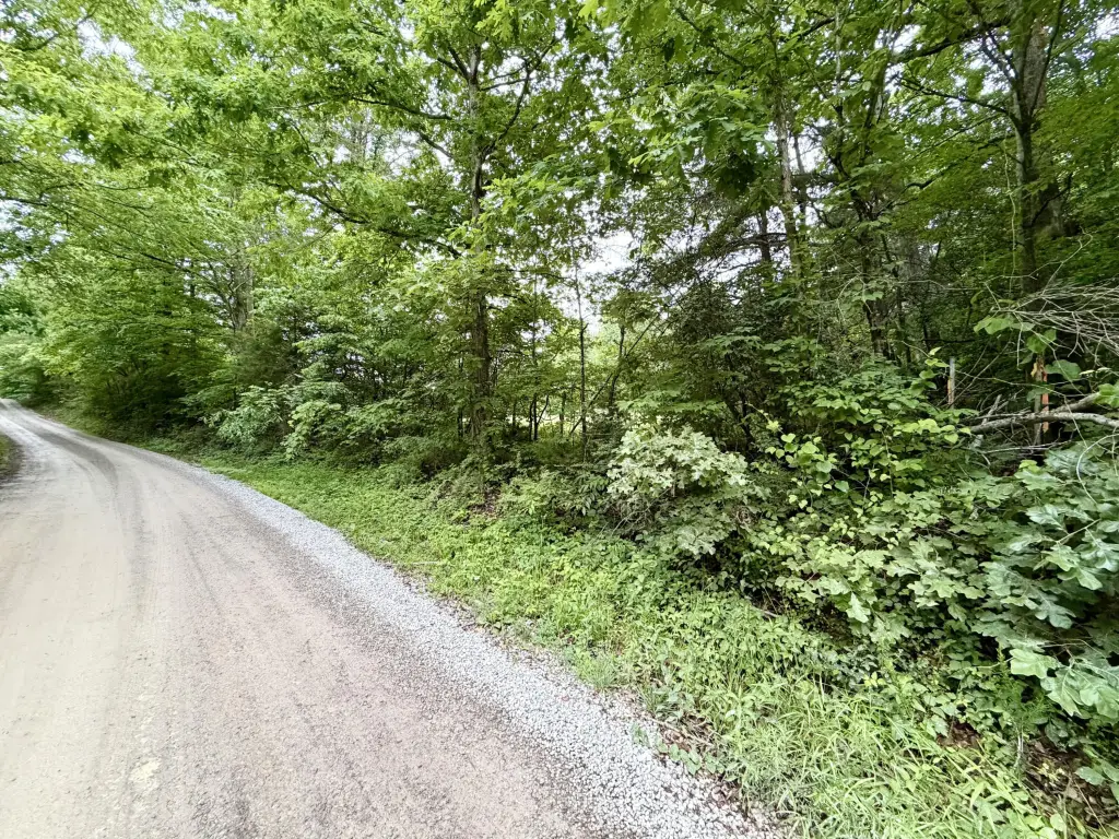 Picture 11