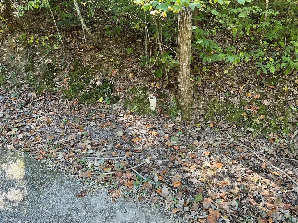 Picture 9
