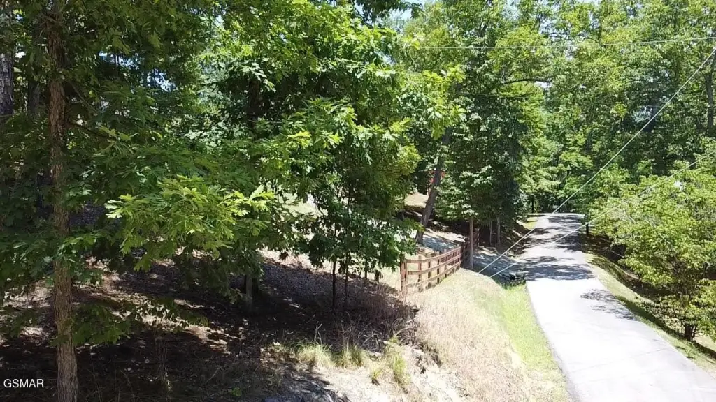 Picture 3