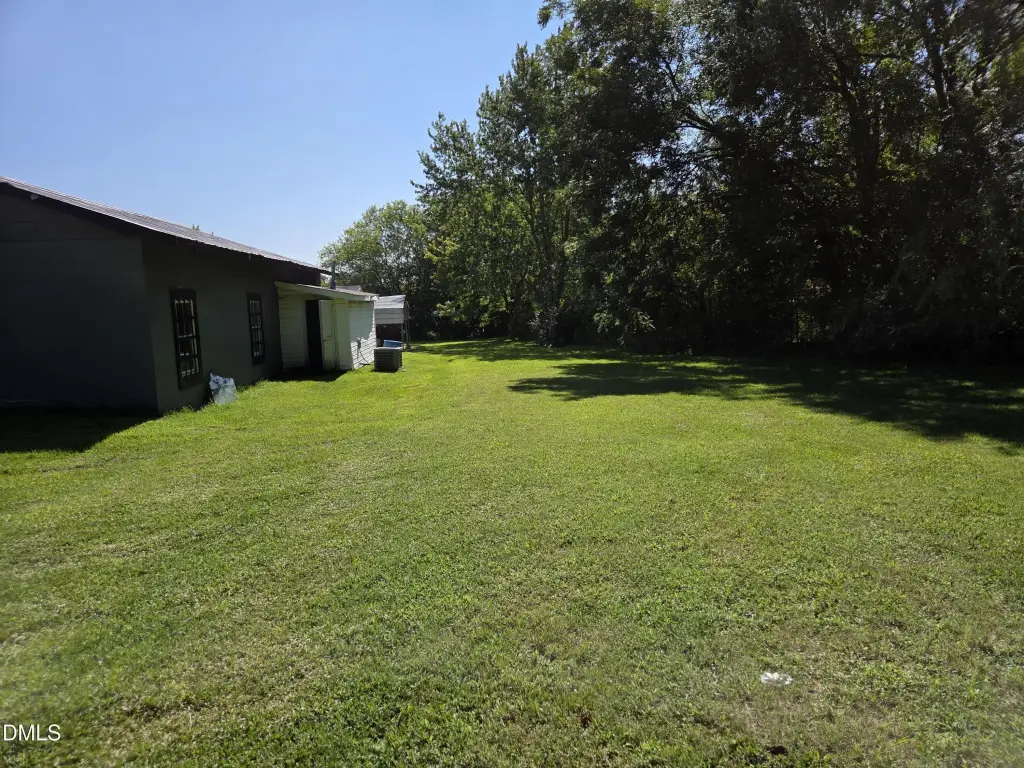 Picture 31