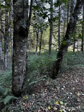 Secluded 1.5 Acre Residential Land