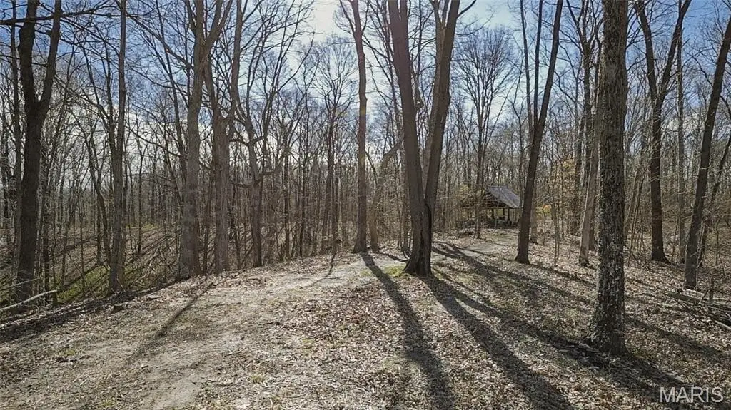 Picture 14