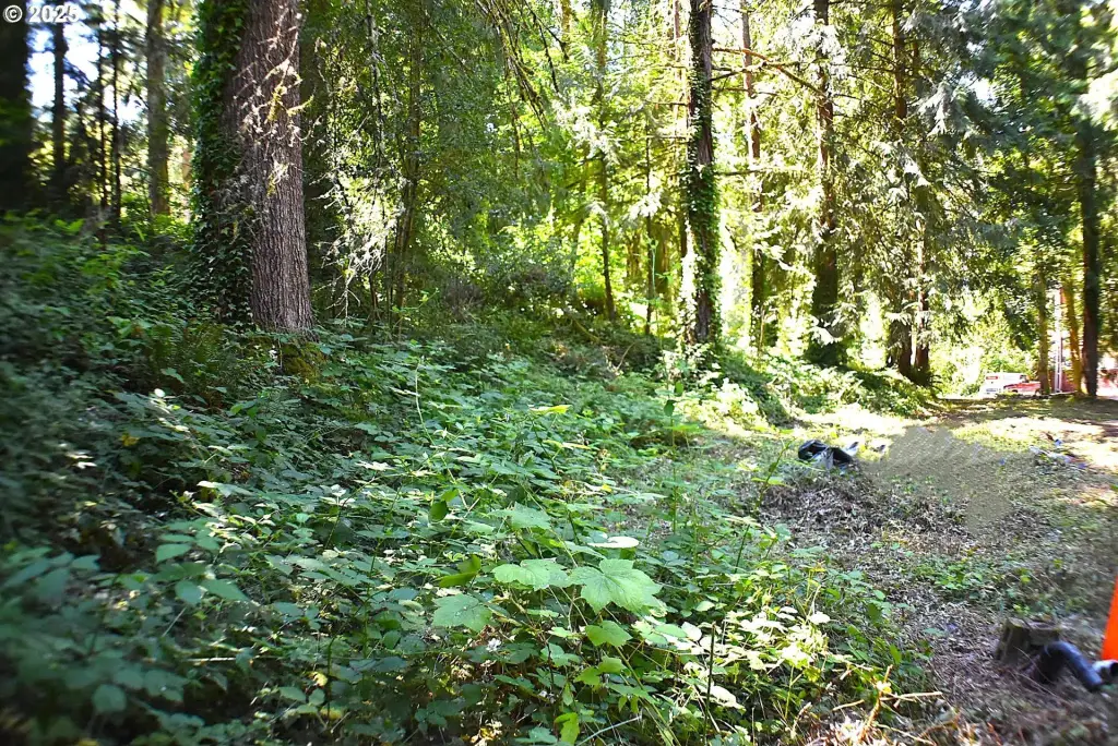 Picture 8