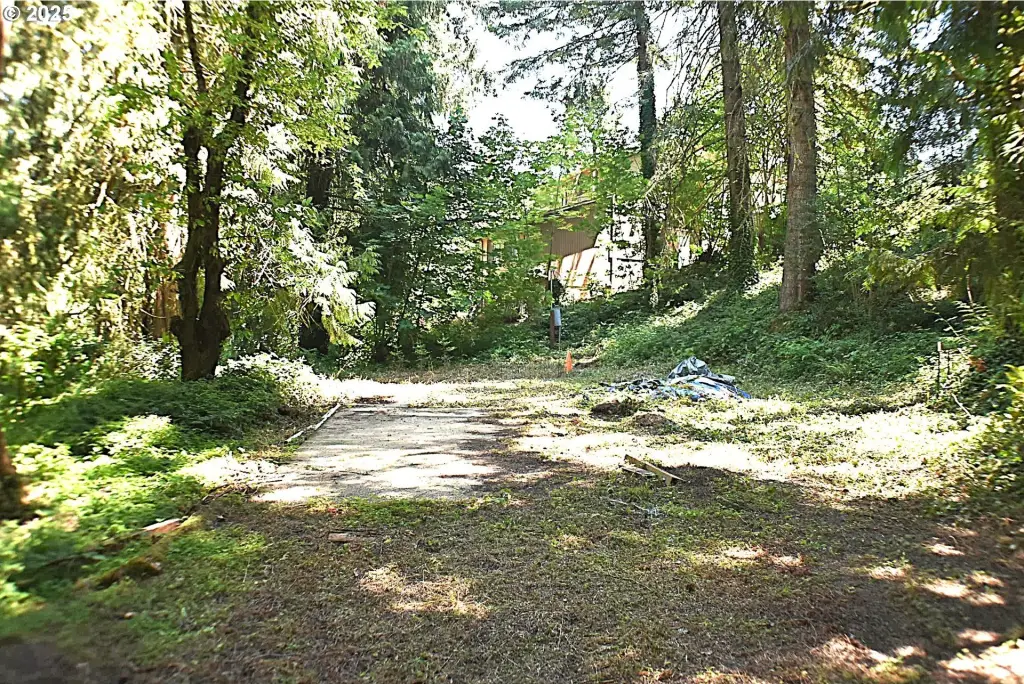 Picture 3