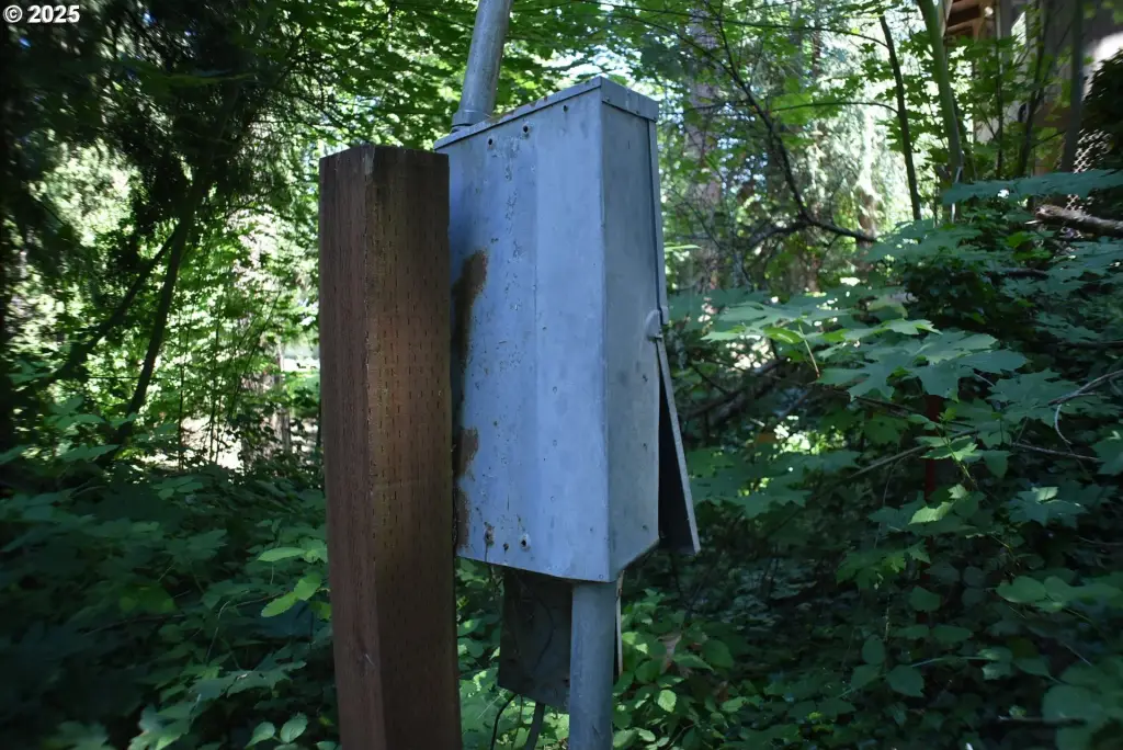 Picture 7