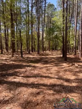 Avinger Acreage with Hughes Creek Border