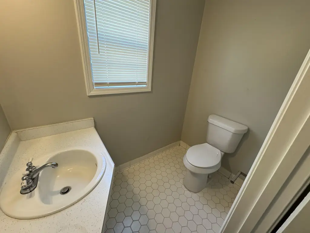 Picture 24