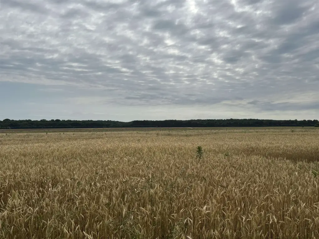 Picture 7