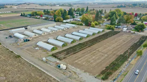 Cannabis Production Property with Greenhouses