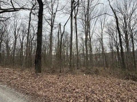 Residential Land in Morgantown, KY