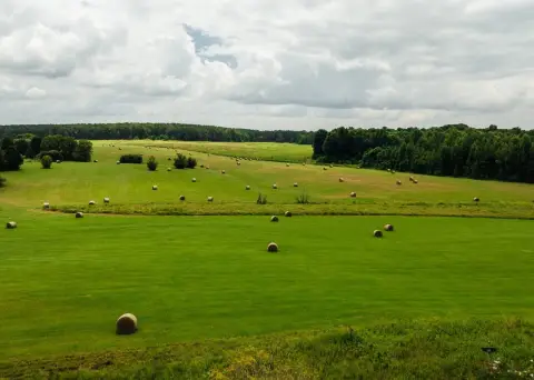 Agricultural Land with Pasture