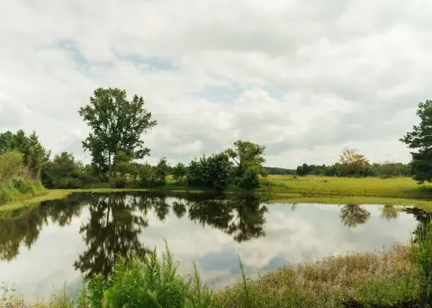Farmland with Pasture and Timber