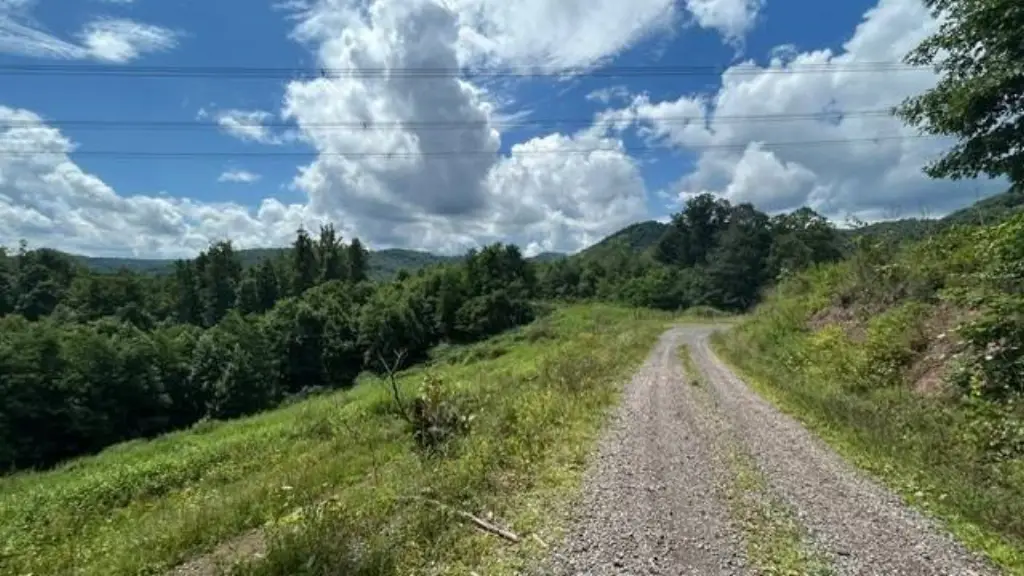 Picture 28