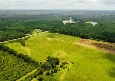 Pasture and Timber Agricultural Land
