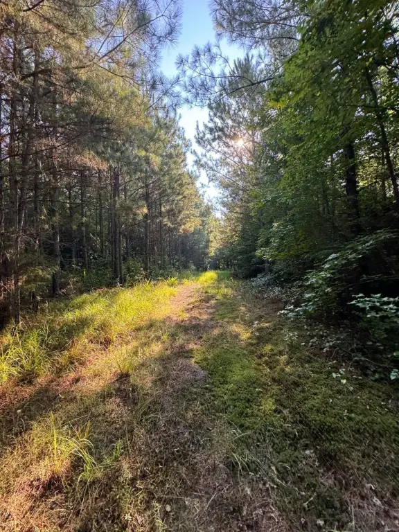 Picture 21