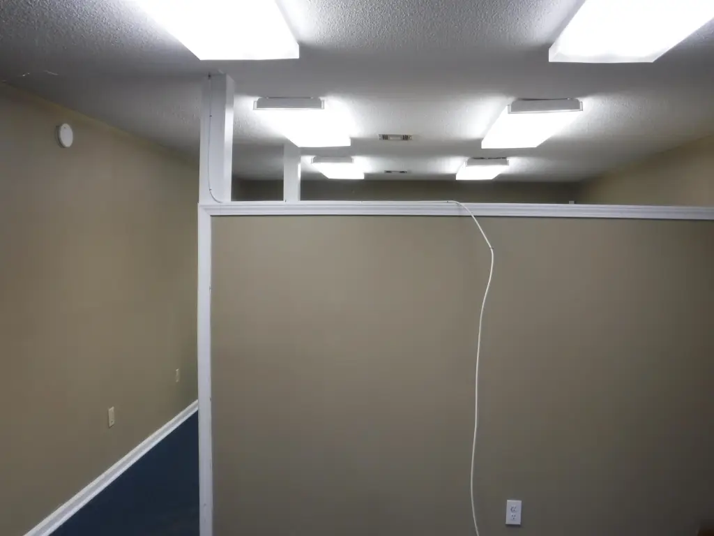 Picture 5