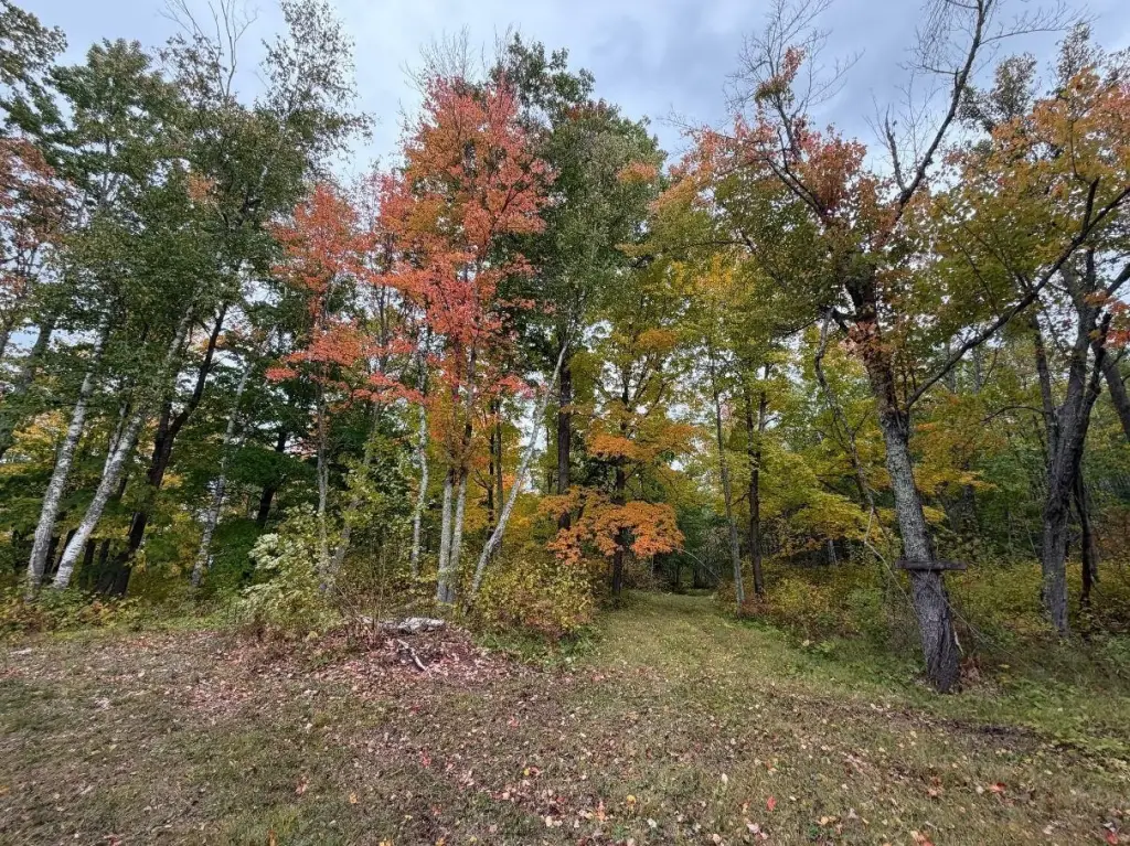 Picture 20