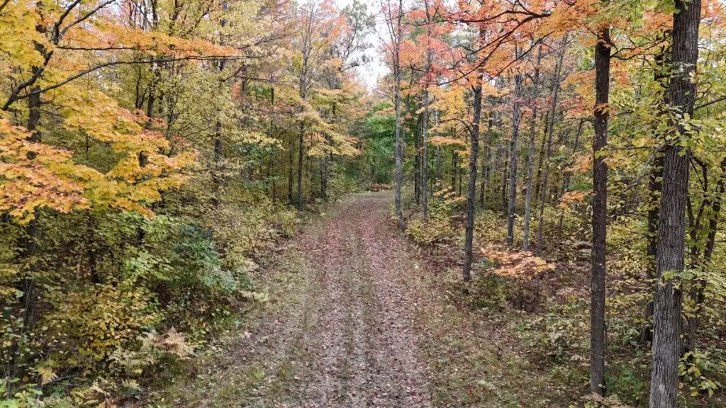 Picture 41
