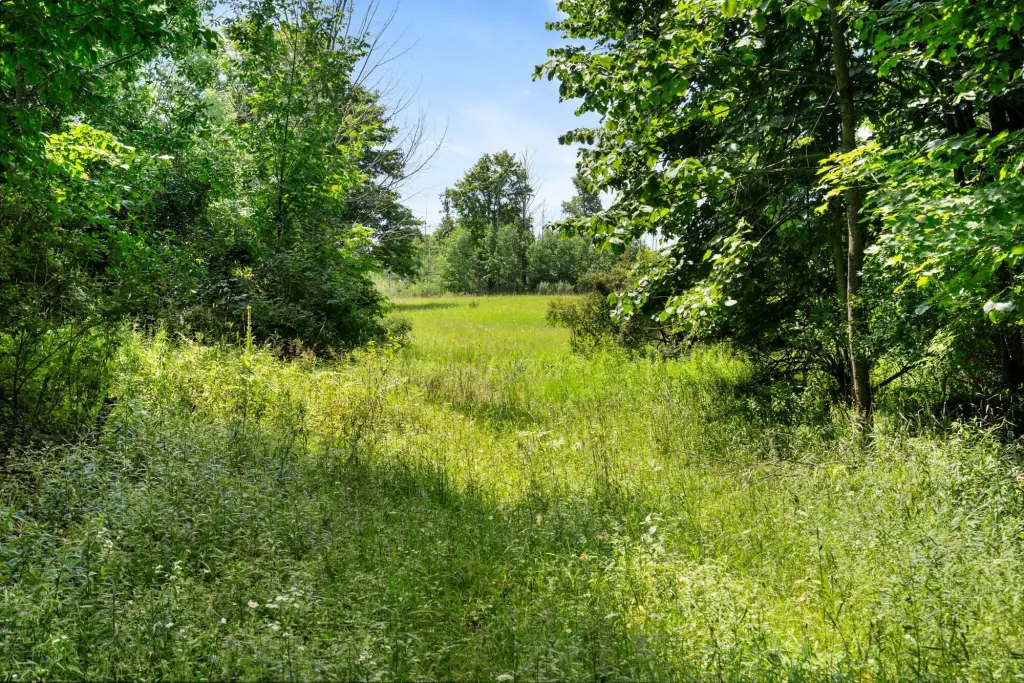 Picture 18