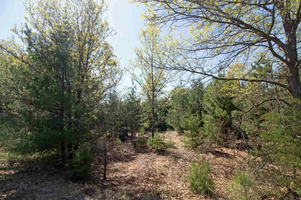Picture 11