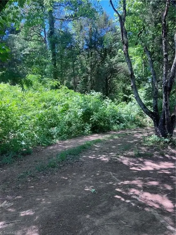 Picture 3