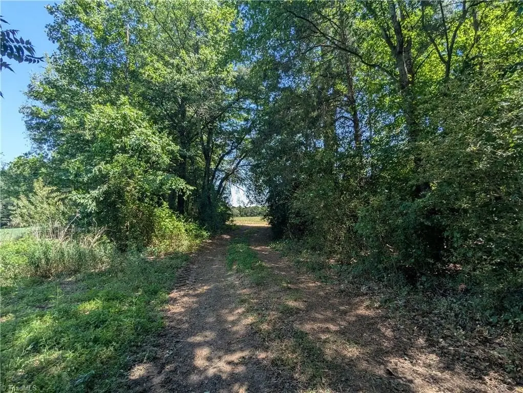 Picture 20