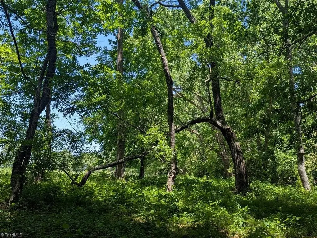 Picture 25