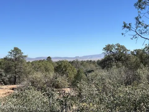 Chino Valley Treed Land Parcel