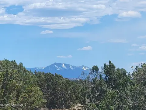 Treed Acre Lot Near Grand Canyon