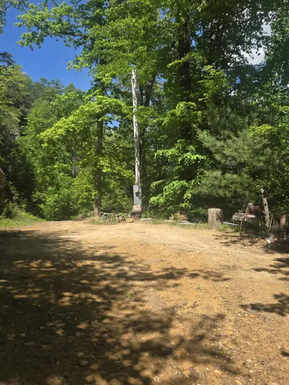 Picture 13