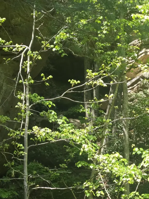 Picture 5