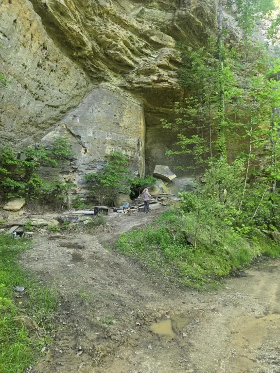 Picture 14