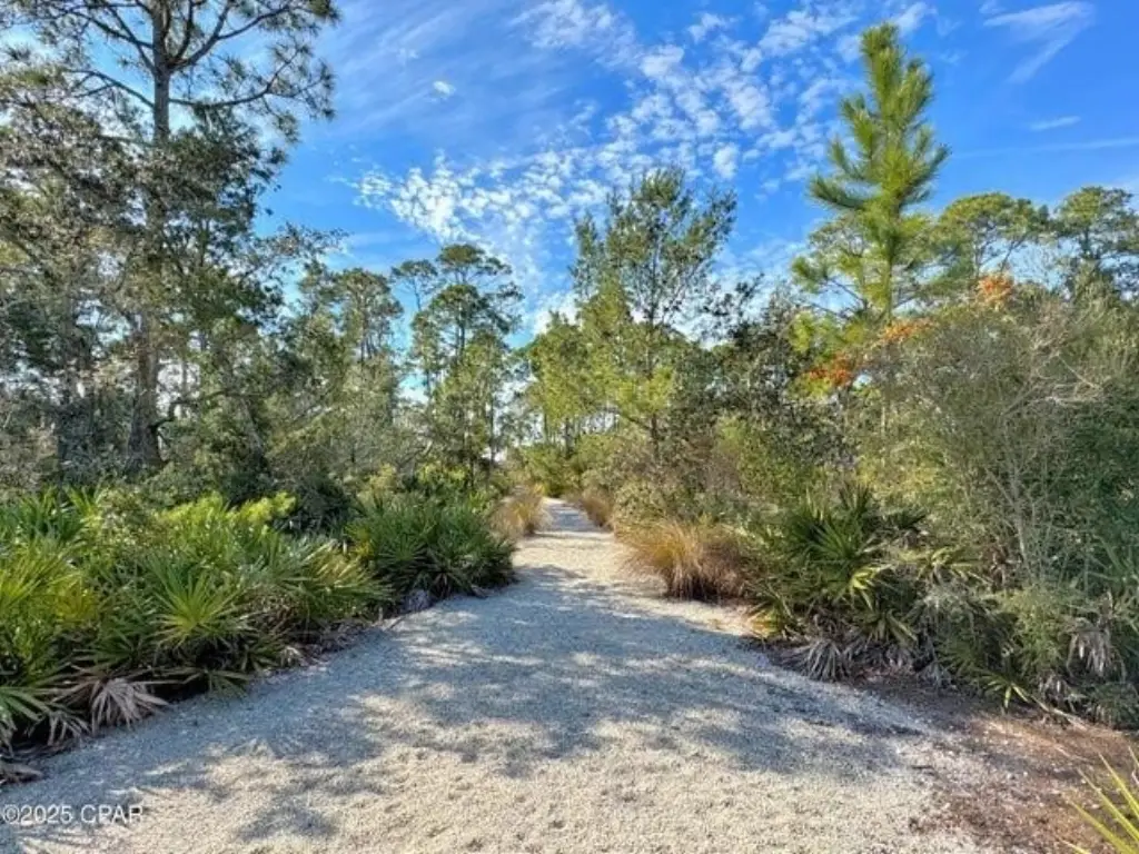 Picture 25
